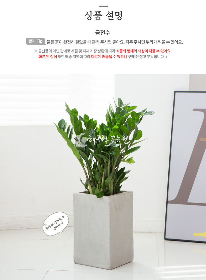 상세이미지