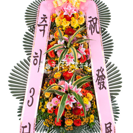 축하3단