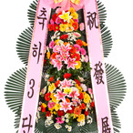 축하3단 기본