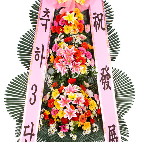 축하3단 기본