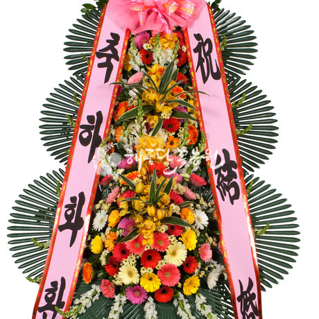 축하45