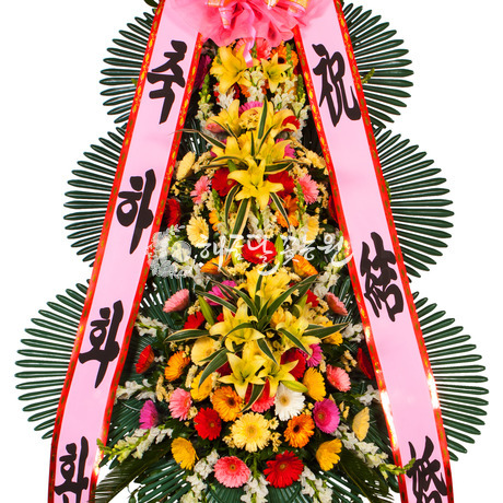 축하50