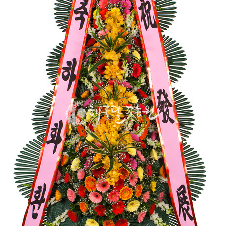 축하40