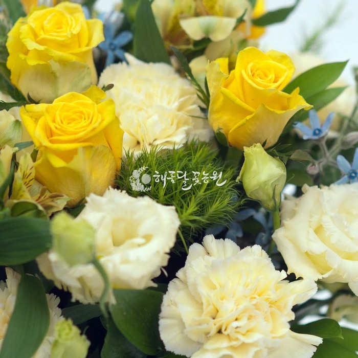 상세이미지