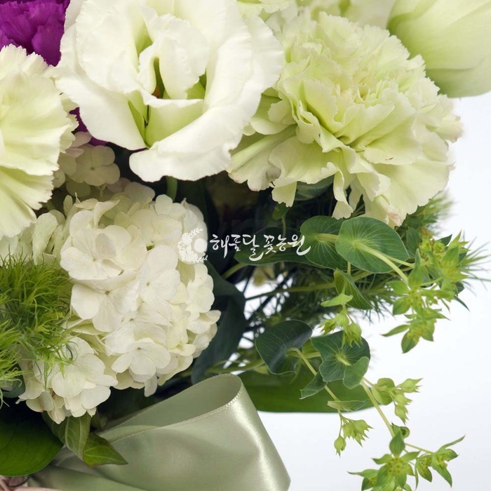 상세이미지