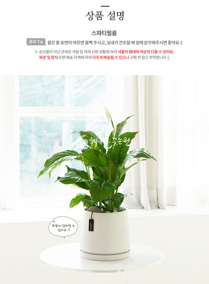상세이미지
