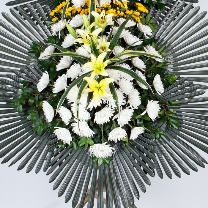 상세이미지