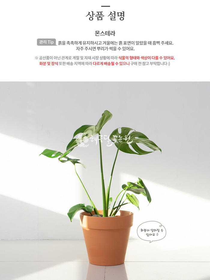 상세이미지