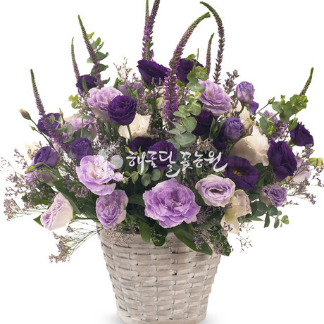 보랑이 3