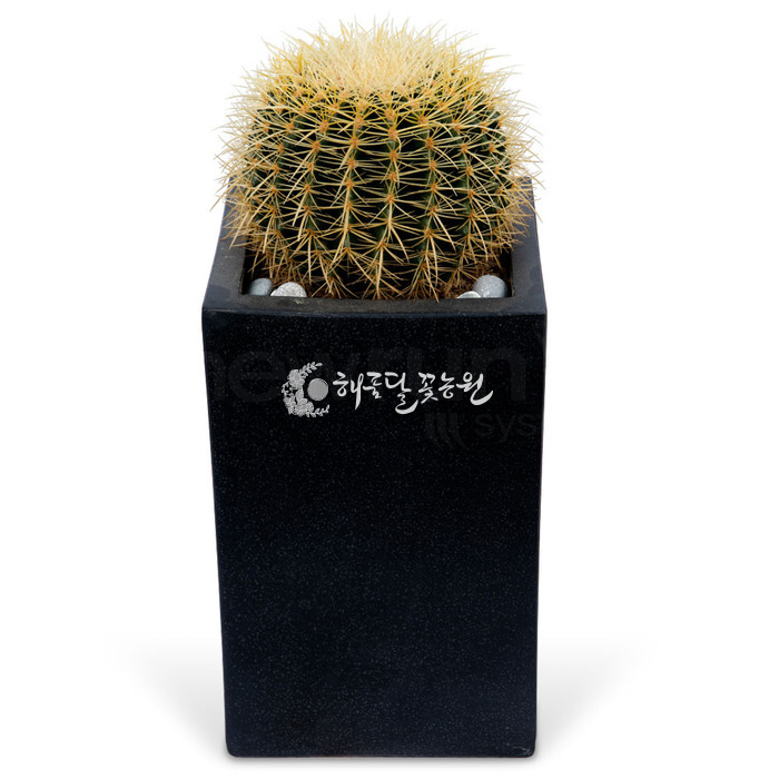 상세이미지