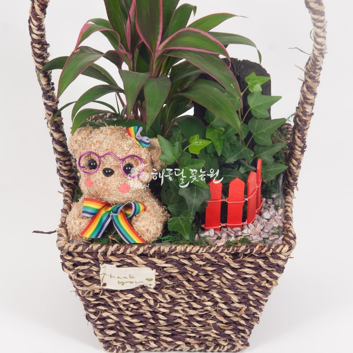 상세이미지