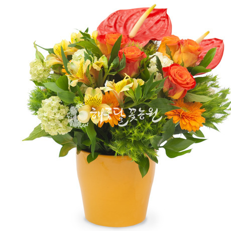 화병디자인_오렌지