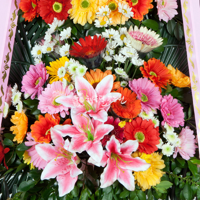 상세이미지