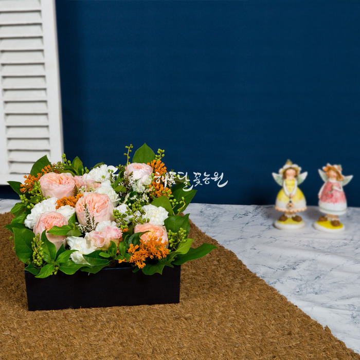 상세이미지