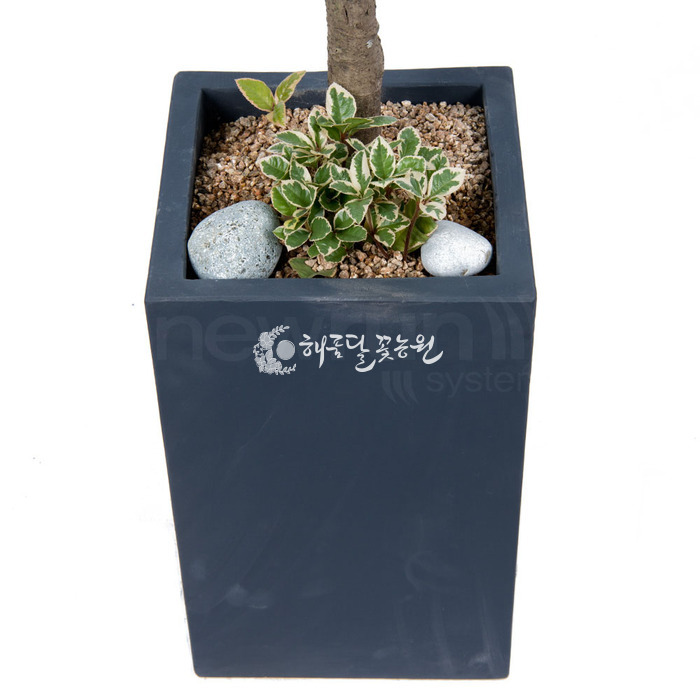 상세이미지