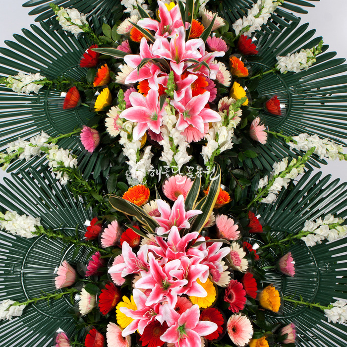 상세이미지