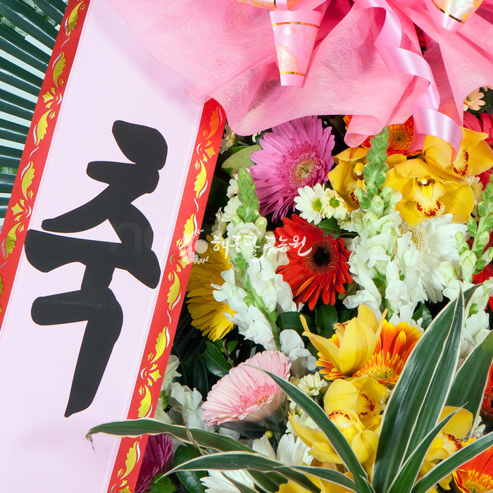 상세이미지