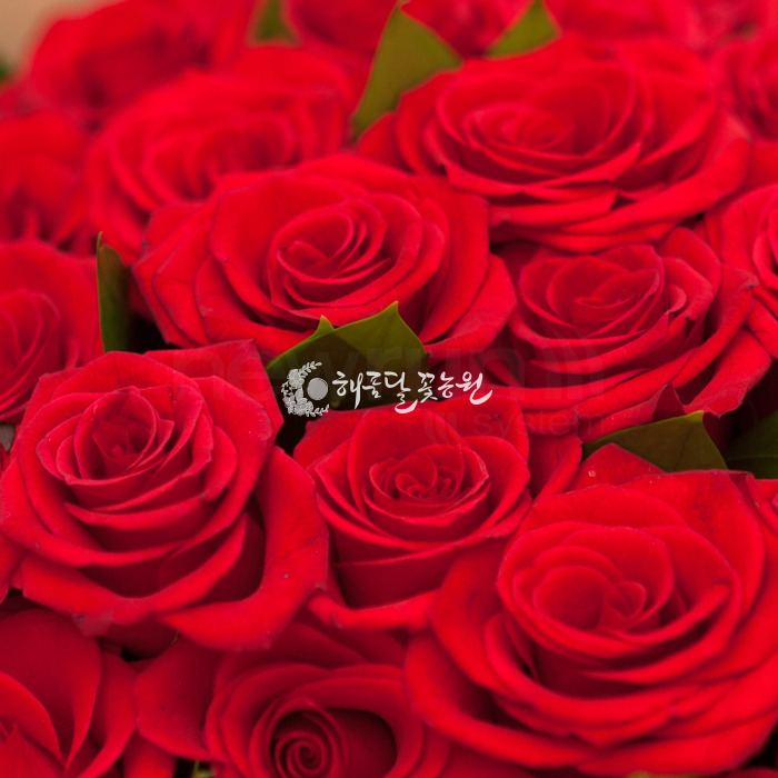 상세이미지