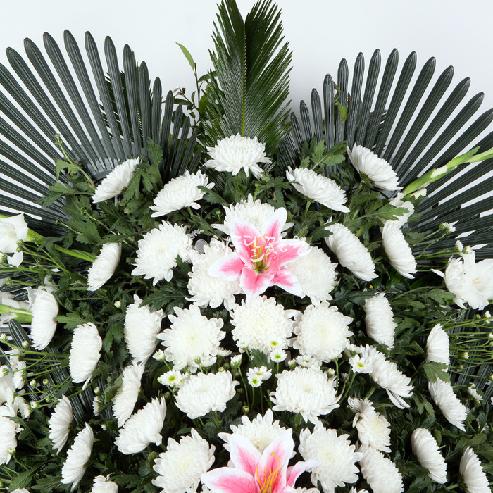 상세이미지