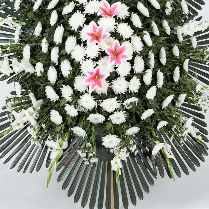 상세이미지